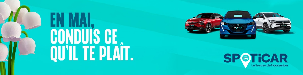 SPOTICAR DAX AUTOMOBILES – MEES